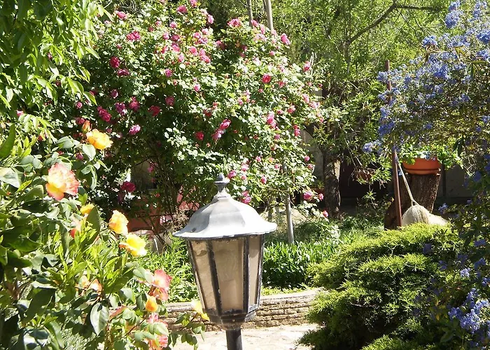 Silva Free Wifi Free Parking *